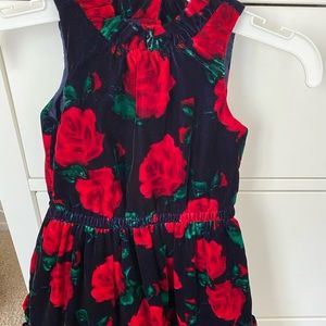 Janie and Jack Rose Velvet Dress 2T